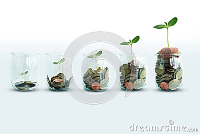 Money growing concept with green plant growing progressive from glass jar with coinsÂ  Stock Photo